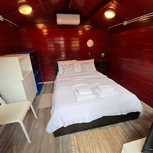 Apartament And Dalibor, Nin